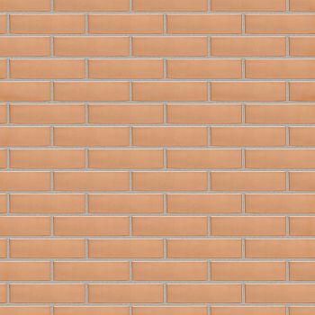 Кирпич керамический лицевой ЖКЗ персиковый гладкий 0,7 НФ – купить по низкой цене в Тюмени в интернет-магазине Стройснаб Кирпич керамический лицевой ЖКЗ персиковый гладкий 0,7 НФ в Тюмени
