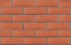 Кирпич керамический ЛСР одинарный Красный рустик – купить по низкой цене в Тюмени в интернет-магазине Стройснаб Кирпич керамический ЛСР одинарный Красный рустик в Тюмени