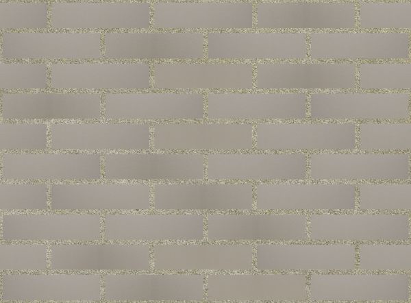 Кирпич керамический лицевой Ликолор серый гладкий 0,7 НФ – купить по низкой цене в Тюмени в интернет-магазине Стройснаб Кирпич керамический лицевой Ликолор серый гладкий 0,7 НФ в Тюмени