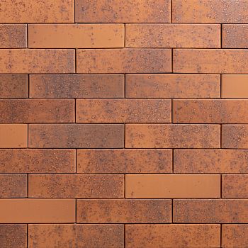 Кирпич керамический лицевой Ликолор Тайга морион на заре гладкий 0,7 НФ – купить по низкой цене в Тюмени в интернет-магазине Стройснаб Кирпич керамический лицевой Ликолор Тайга морион на заре гладкий 0,7 НФ в Тюмени