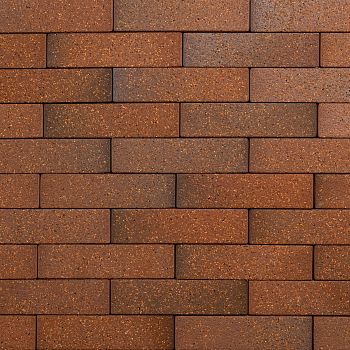 Кирпич керамический лицевой Ликолор Тайга борус гладкий 0,7 НФ – купить по низкой цене в Тюмени в интернет-магазине Стройснаб Кирпич керамический лицевой Ликолор Тайга борус гладкий 0,7 НФ в Тюмени