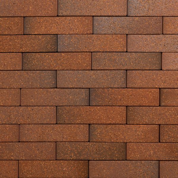 Кирпич керамический лицевой Ликолор Тайга борус гладкий 0,7 НФ – купить по низкой цене в Тюмени в интернет-магазине Стройснаб Кирпич керамический лицевой Ликолор Тайга борус гладкий 0,7 НФ в Тюмени