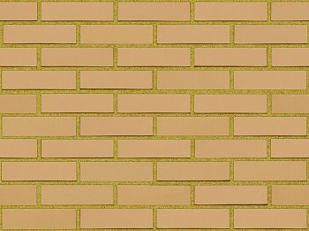 Кирпич керамический лицевой Ликолор соломенный гладкий 1 НФ в Тюмени