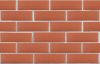 Кирпич керамический лицевой ЛСР красный гладкий 1 НФ – купить по низкой цене в Тюмени в интернет-магазине Стройснаб Кирпич керамический лицевой ЛСР красный гладкий 1 НФ в Тюмени