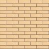Кирпич керамический лицевой ОСМиБТ солома гладкий 1 НФ в Тюмени