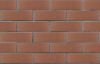 Кирпич керамический ЛСР одинарный Коричневый гладкий – купить по низкой цене в Тюмени в интернет-магазине Стройснаб Кирпич керамический ЛСР одинарный Коричневый гладкий в Тюмени
