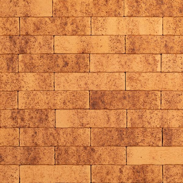 Кирпич керамический лицевой Ликолор Тайга морошка скала 0,7 НФ – купить по низкой цене в Тюмени в интернет-магазине Стройснаб Кирпич керамический лицевой Ликолор Тайга морошка скала 0,7 НФ в Тюмени