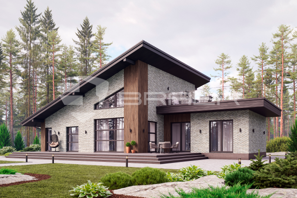 Кирпич керамический лицевой с утолщенной стенкой BRAER MAX 72.03 1 НФ в Тюмени