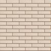 Кирпич керамический лицевой ОСМиБТ белый гладкий 1,4 НФ в Тюмени