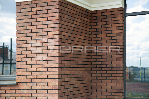 Кирпич керамический лицевой с утолщенной стенкой BRAER MAX 55.08.1 1 НФ в Тюмени