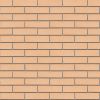 Кирпич керамический лицевой ЖКЗ соломенный дерево 1 НФ в Тюмени