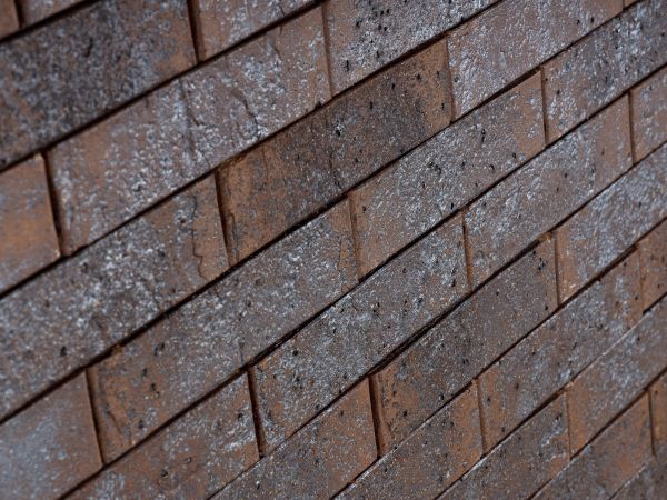 x1aamotcyimxm7yletnf1mt8i1prsim4 x1aamotcyimxm7yletnf1mt8i1prsim4