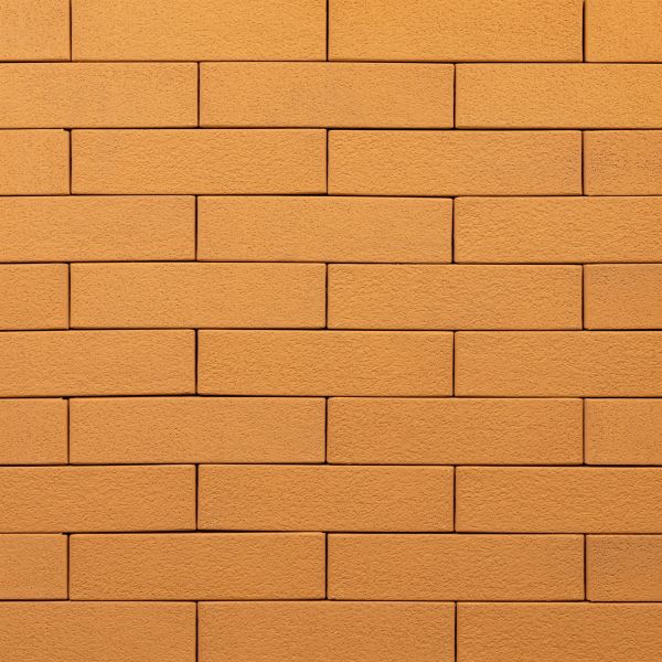 Кирпич керамический лицевой Ликолор соломенный шагрень 1 НФ – купить по низкой цене в Тюмени в интернет-магазине Стройснаб Кирпич керамический лицевой Ликолор соломенный шагрень 1 НФ в Тюмени