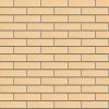 Кирпич керамический лицевой ЖКЗ соломенный гладкий 1 НФ в Тюмени