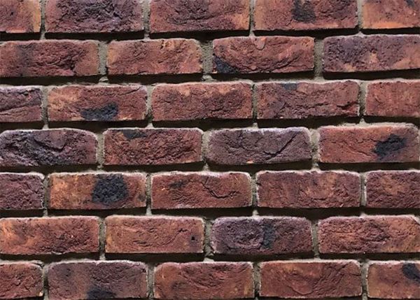 Кирпичная плитка МОНС Ti WDF  в Тюмени