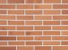 Клинкер фасадный Керма Premium Klinker одинарный Красный риф – купить по низкой цене в Тюмени в интернет-магазине Стройснаб Клинкер фасадный Керма Premium Klinker одинарный Красный риф в Тюмени